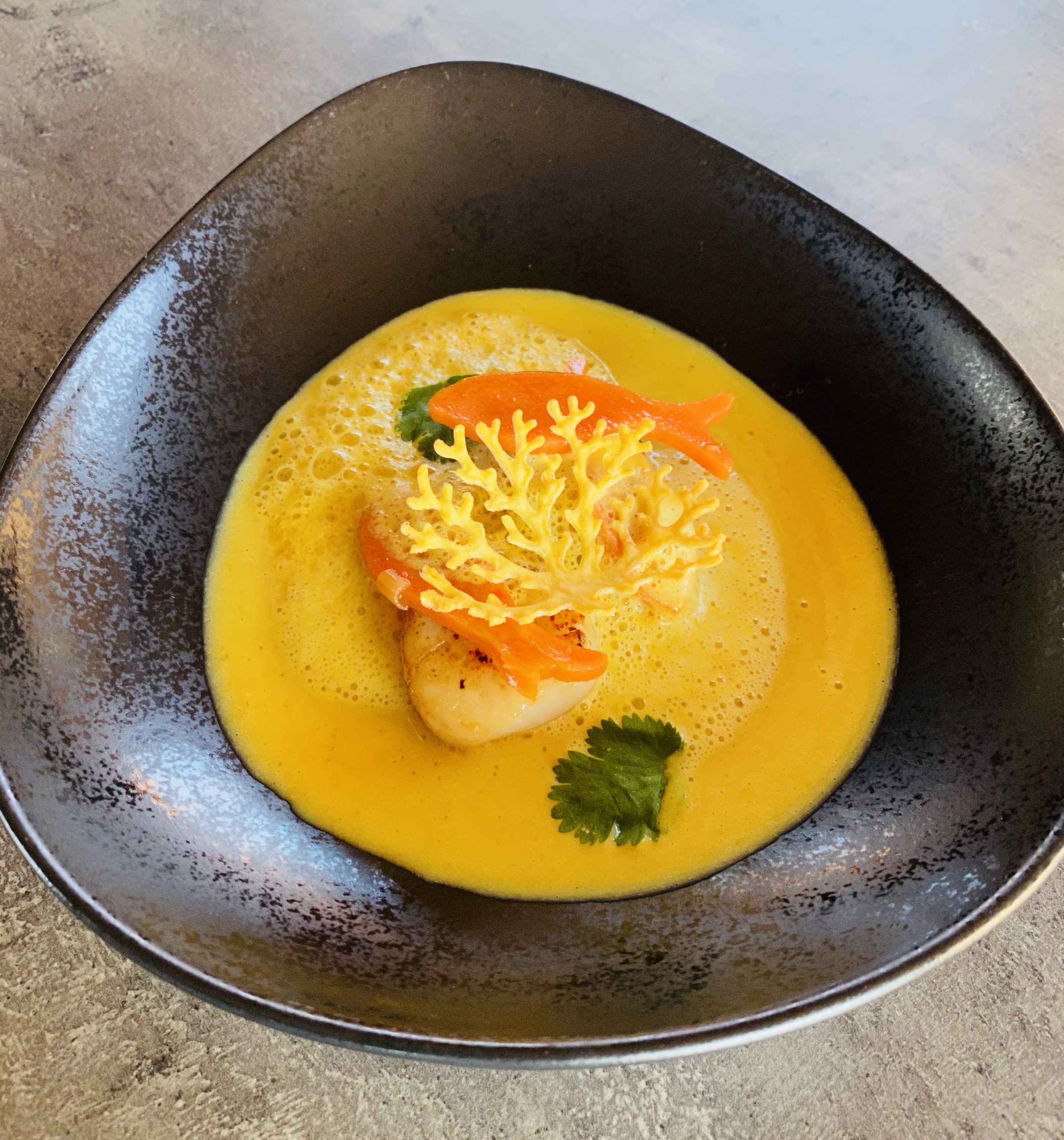 Kocht mit: Gelbe Curry Möhrensuppe mit Jakobsmuscheln - lifestylezauber.de